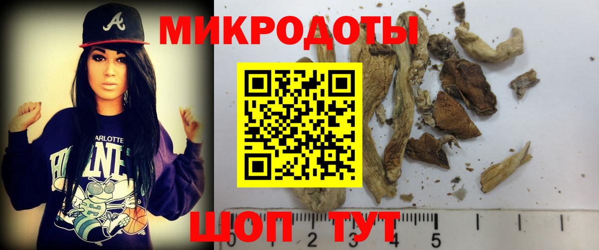 Борзя  Галлюциногенные грибы прущие грибы  Вход с VPN 